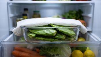 El truco de la toalla húmeda que evita que los nopales se resequen