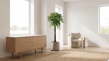Sala luminosa con paredes blancas, dos ventanas, aparador de madera clara, planta grande, sillón beige con manta, alfombra de yute y piso de madera.