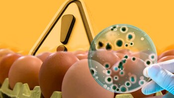 La AESAN lanza alertas sobre alimentos contaminados (Infobae)