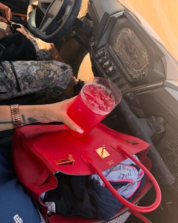 La cartera Birkin de Hermés