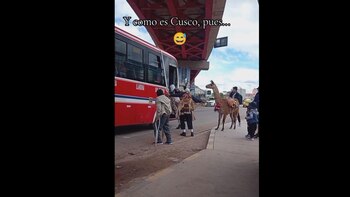 Un video de apenas 27