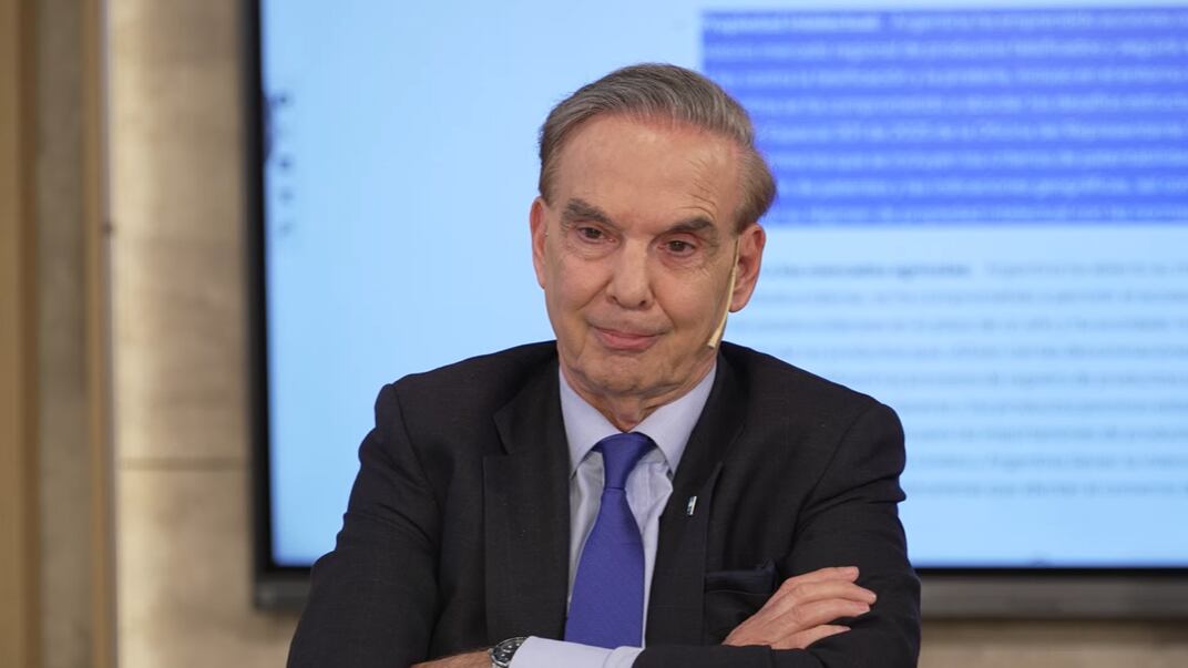 Pichetto advirtió por el ingreso de acero desde China y la presión de las plataformas sobre la distribución