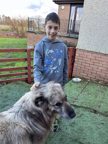 El gesto del menor demuestra