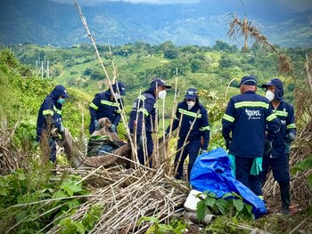 Agresiones físicas y verbales a