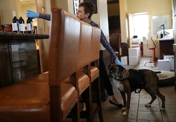 Antes de la cuarentena ya