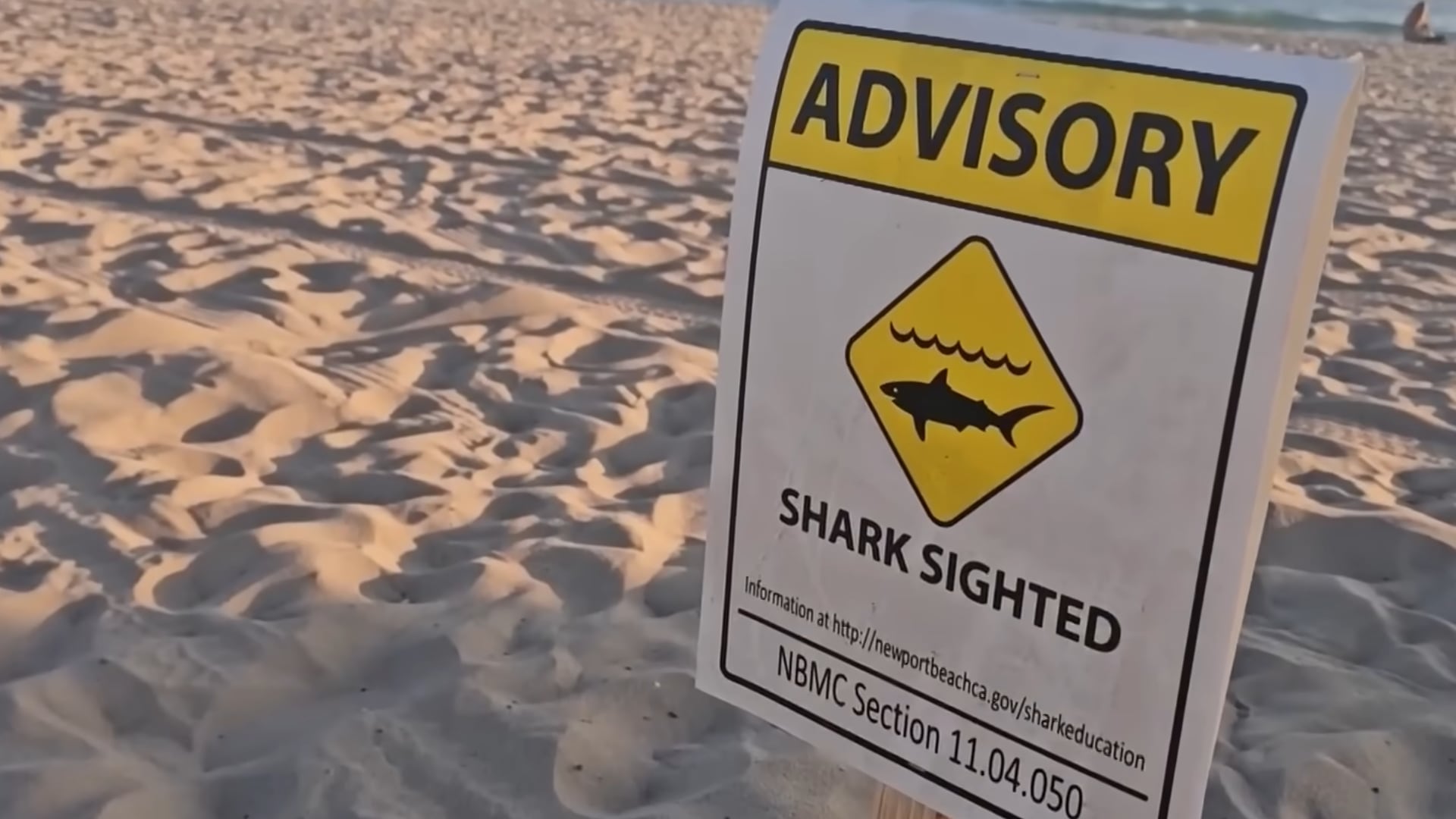 Vivian Phong-Ngo, surfista local, reportó el avistamiento del tiburón a escasos metros de la orilla en Newport Beach, pero los socorristas no creían en el suceso (Captura de video: KTLA 5).