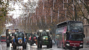 El campo catalán elige a