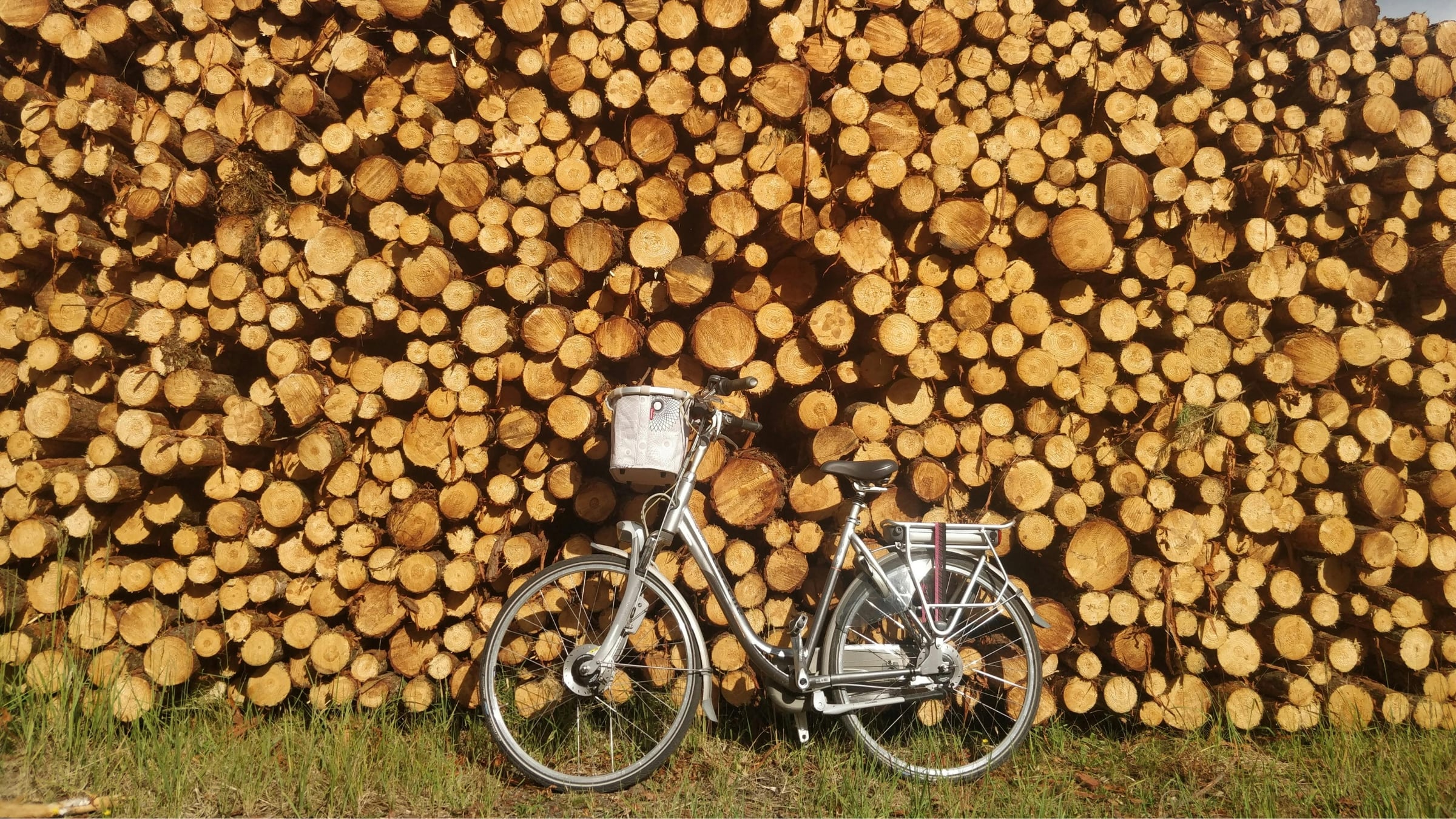 Un ingeniero deja el sector ferroviario para fabricar bicicletas de madera: “Conserva la rigidez del carbono, pero ofrece más comodidad”. (Canva)
