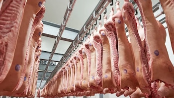 El cerdo impulsó el boom