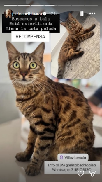 Elizabeth Loaiza compartió con sus