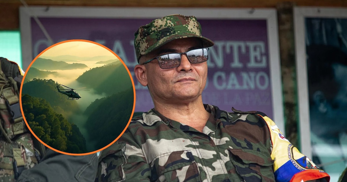 Quatro membros da discordância de Ivan Kadi foram mortos em Amazonas Quatro membros da discordância de Ivan Kadi foram mortos em Amazonas