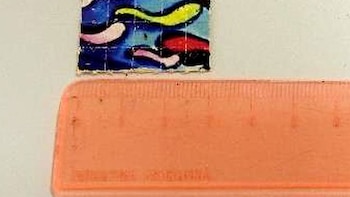 Alerta por un inédito cóctel de drogas sintéticas detectado en un troquel secuestrado en un pet shop de Buenos Aires