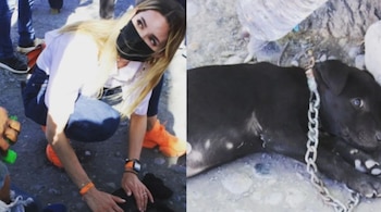 En un inicio la influencer