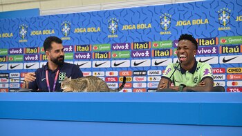 gato conferencia de Brasil mundial qatar 2022