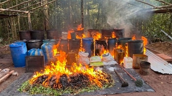Armada de Colombia destruyó cinco laboratorios de coca que financiaban a las disidencias de las Farc en Cumaribo
