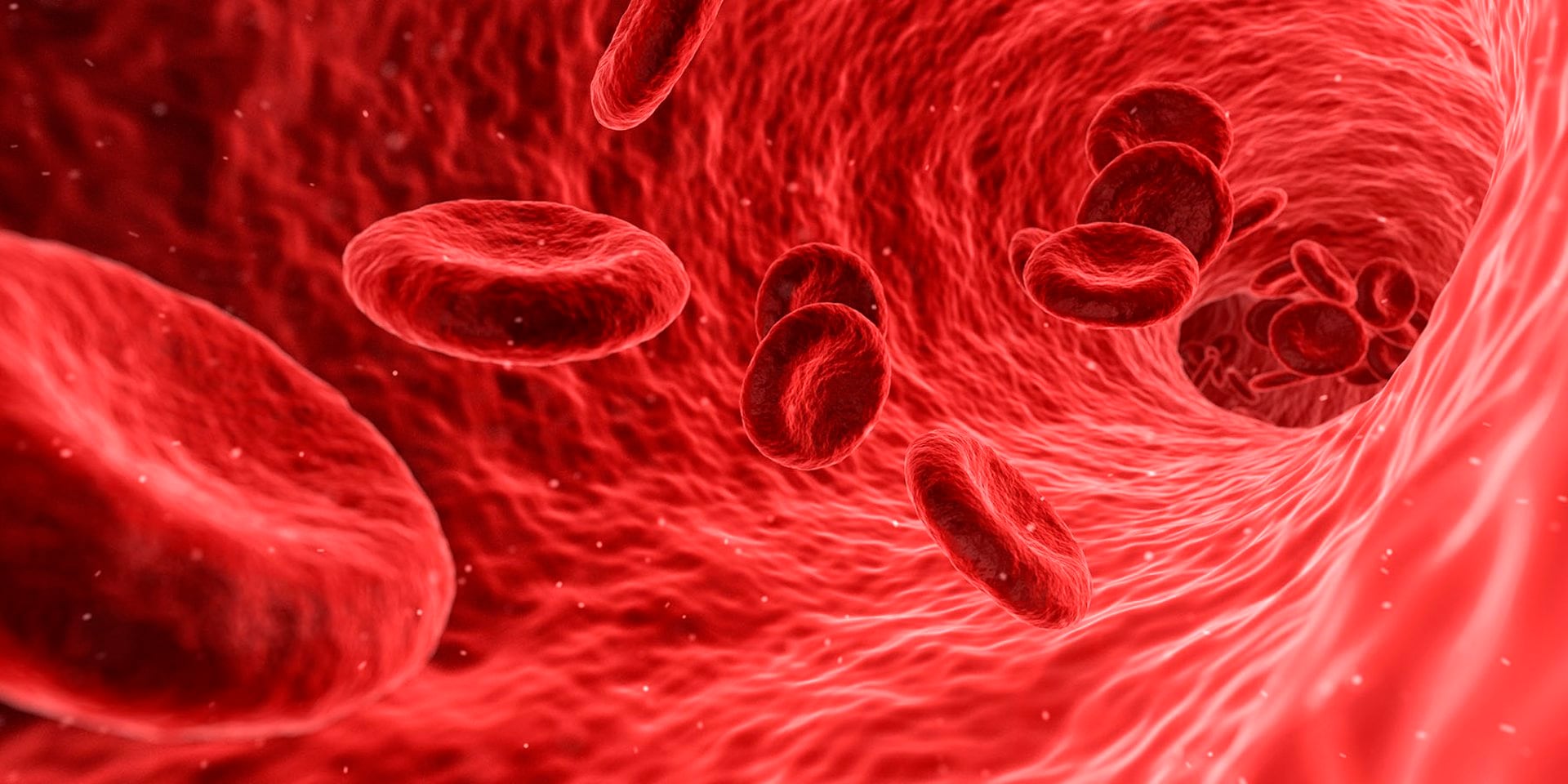 A nivel mundial, los cánceres de la sangre representan uno de cada diez diagnósticos oncológicos CIBEROBN