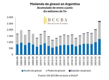 Molienda de girasol en Argentina