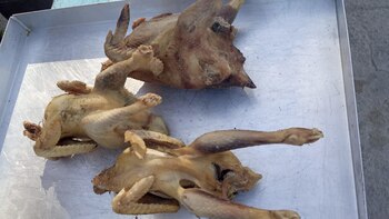 Polémica en Uruguay por los