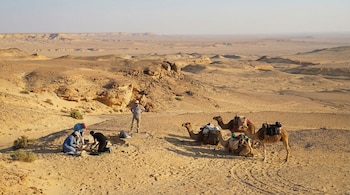 Vista aérea de un paisaje desértico con dunas y formaciones rocosas. Tres personas trabajan en el suelo; una de pie y dos arrodilladas. Varios camellos descansan cerca.