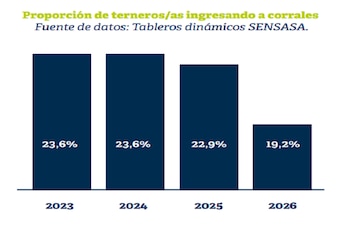 Proporción de terneros ingresando a corrales