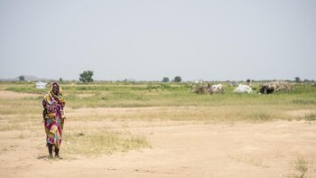 Mueren más de 15 personas