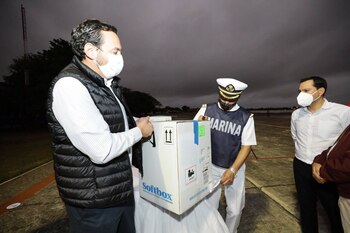 Camino a la vacunación masiva,