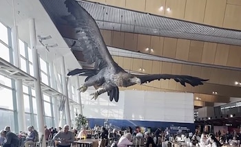 Gandalf sobre un águila dominó