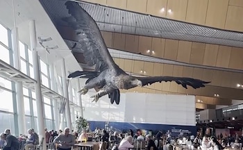 Gandalf sobre un águila dominó