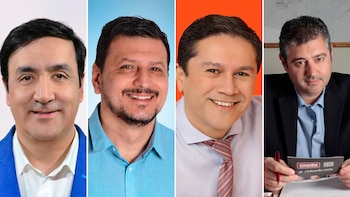 Pablo Grasso, Mauricio Gómez Bull,