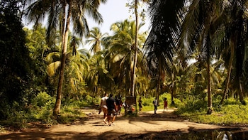 Sendero hasta cabo San Juan,