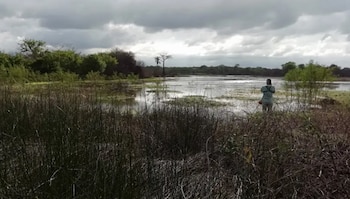 La Guajira reúne diversos ecosistemas, entre ellos el bosque seco tropical - crédito Selva
