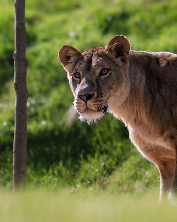 Cuando inició la guerra, los