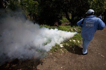 Un brigadista del Ministerio de Salud de Nicaragua fumiga criaderos de mosquitos Aedes Aegepty (EFE/Mario López/Archivo)