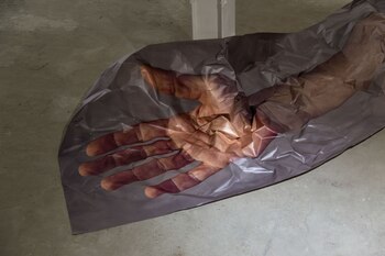 Cecilia Lenardon, Cuatro Piezas Clave