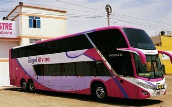 Bus de empresa Ángel Divino