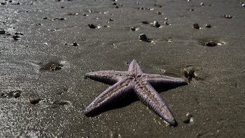 El calentamiento global amenaza al