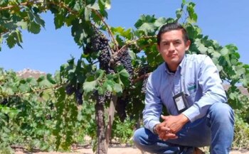 Imagen Q2LRWNSXIBH45LWPYA4J3LDUBI