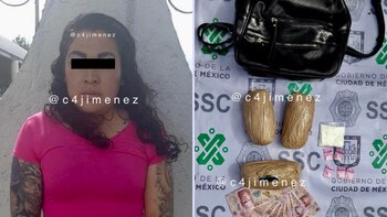 La aguacatera es el eslabón