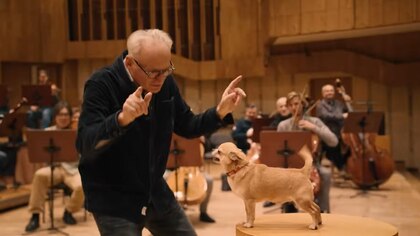 Armonía canina: perros se convirtieron en directores de una orquesta sinfónica de Polonia