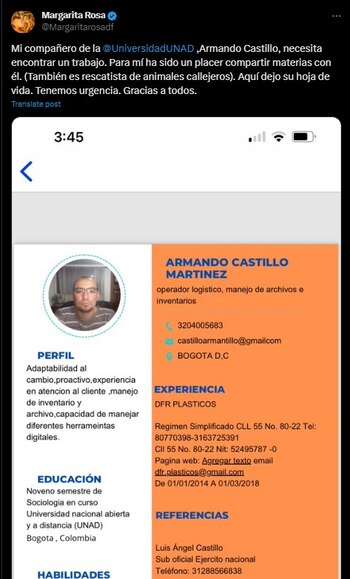 Margarita Rosa de Francisco busca