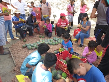 CLAYSS publicó junto a UNESCO