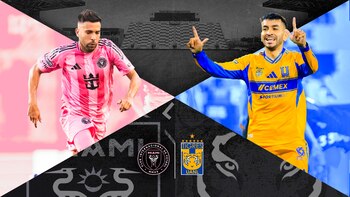 Garzas y felinos definirán al