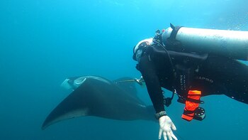 Los técnicos y científicos marcaron
