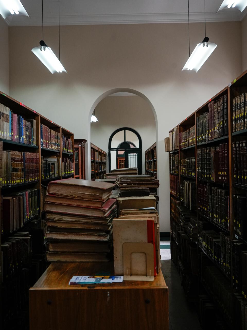 lLabiblioteca Federico González Suárez, que dirige Vizcaíno.