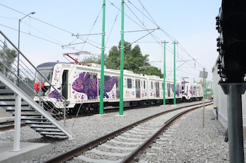 La línea del Tren Ligero El Ajolote corre entre las terminales de Tasqueña y Xochimilco, atravesando alcaldías como Coyoacán, Tlalpan y Xochimilco. Foto: @ClaraBrugadaM
