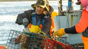 Conapesca anuncia la prohibición de pesca en el Océano Pacífico: estas son las especies que no se pueden capturar