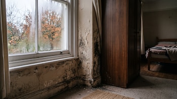 Pared con manchas de moho negro y pintura descascarada junto a una ventana con condensación, un armario y una cama al fondo.