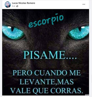 Los posteos de Romero