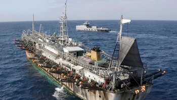 En esta imagen, tomada en