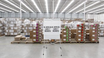 Sin facultades para anular: INE